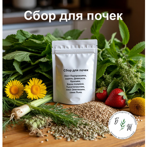 Травяной сбор для Почек