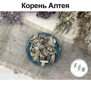 Kopeнь Алтея