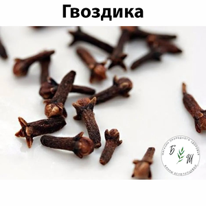 Гвоздика