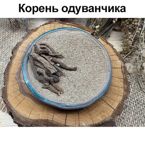 Корень Одуванчика