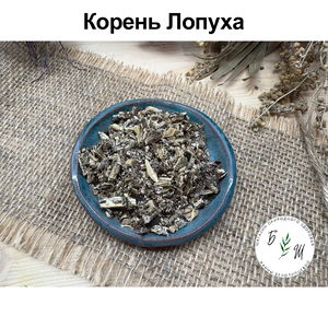 Корень лопуха